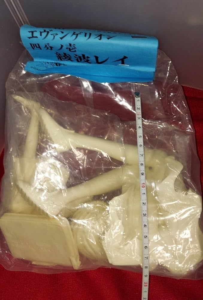 エヴァンゲリオン　綾波・レイ　制服　ガレージキット【全塗装完成品 エヴァンゲリオン 綾波・レイ 制服 ガレージキット【全塗装完成