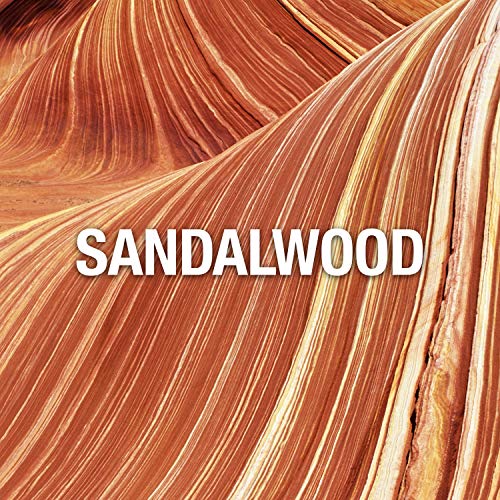 Red By Giorgio Beverly Hills Perfume For Women, 3 Fl. Oz. Edt Spray #TOP4