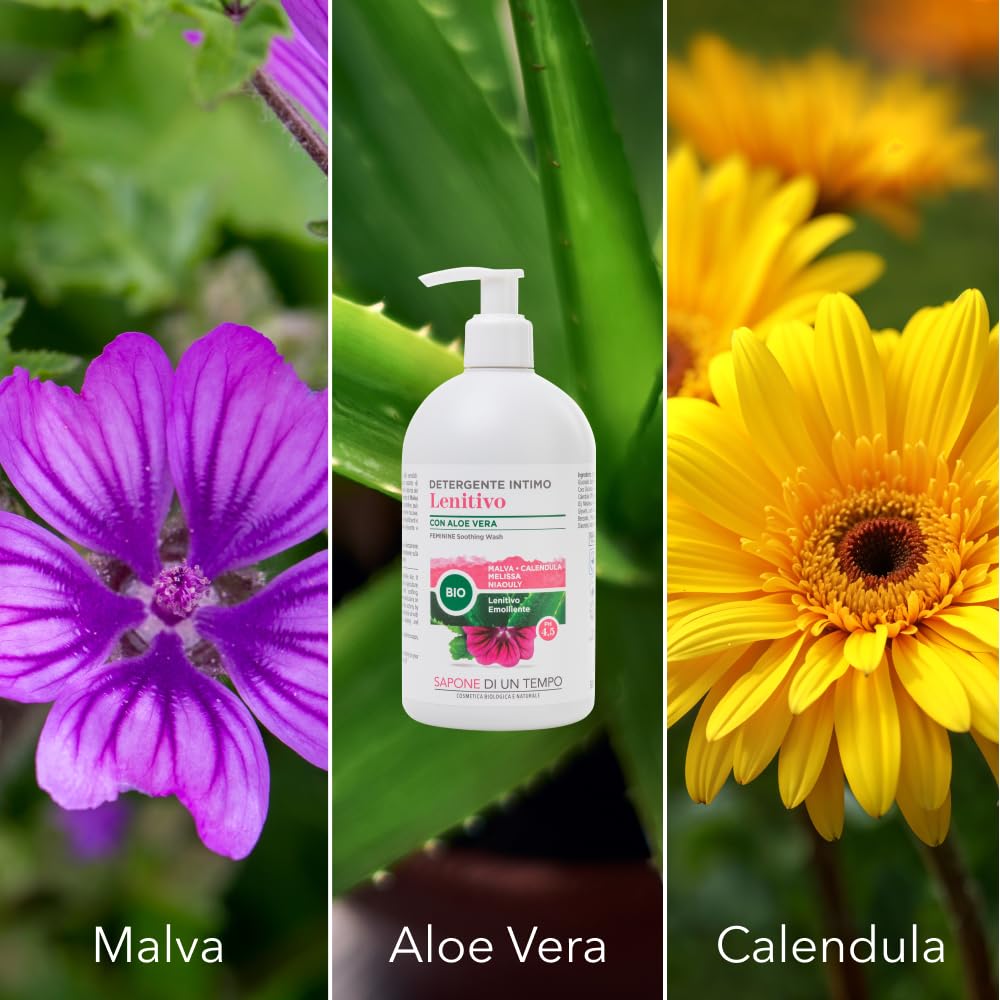 Sapone di un Tempo Detergente Intimo pH 4.5 + Sapone di Marsiglia Lavanda + Docciaschiuma Shampoo Aloe Argan 1500ml, Naturale, Vegan, Detergenti Corpo, Igiene Intima Donna, Mani e Capelli
