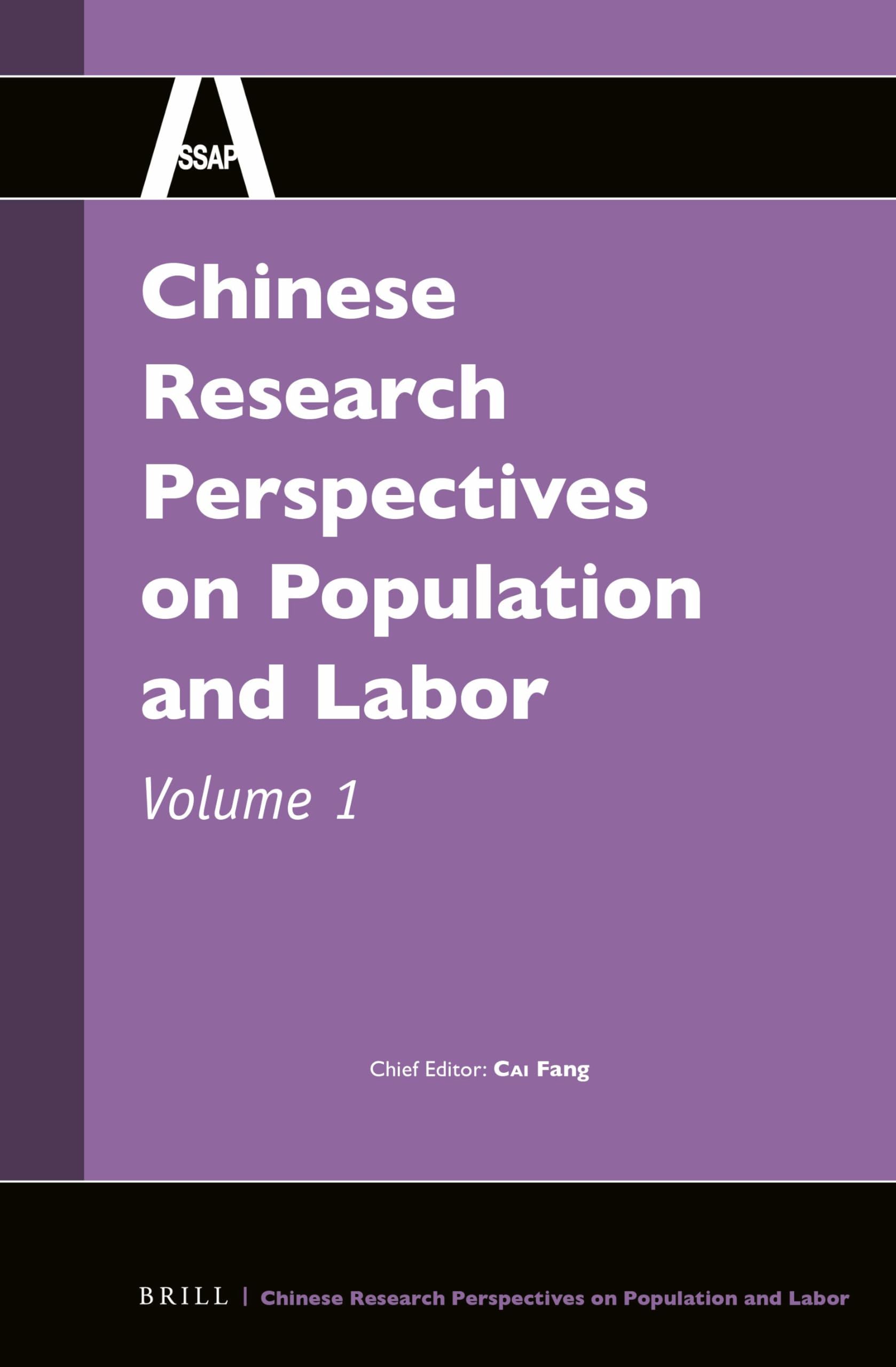 Buy Chinese Research Perspectives on Population and Labor: 1 (Chinese Research Perspectives / Chinese Research Perspectives on Population and Labor, 1) — BookShops.in