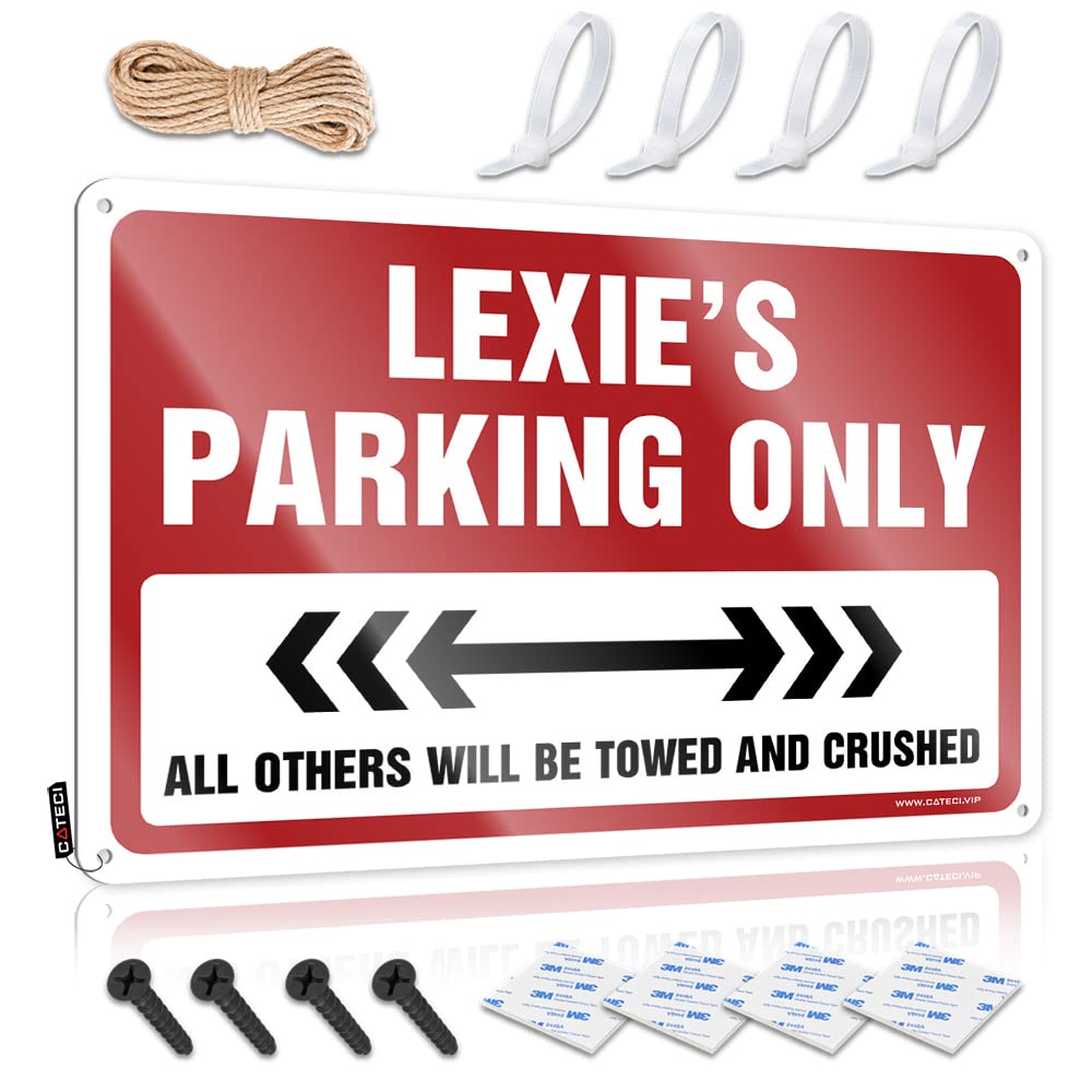 Fzfn Boys Colour Vintage Wall Decor Nostalgic Vintage Haves Lexie's Parking Only - Vintage Wall Decor For Campers(30X40cm)