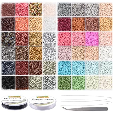 EuTengHao Glass Seed Beads for Bracelet Making Kit, 8/0 Small Pony Beads for Bracelet Necklace Jewelry Making DIY Crafting (3mm, 48 Colors, Frosted Glass and Lacquered Glass) Cover