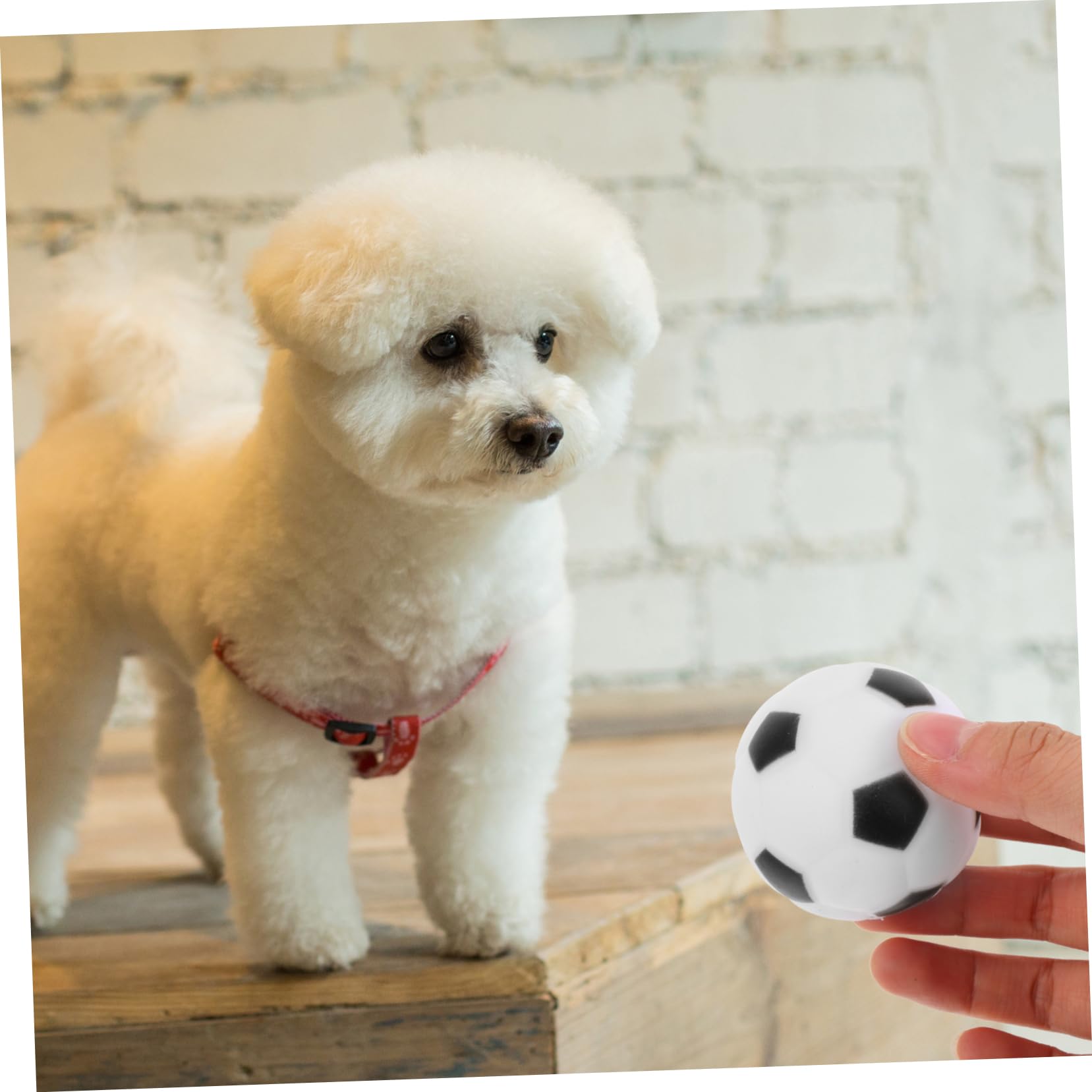 BESPORTBLE 16stücke Quietschendes Hundespielzeug Fußball Unzerstörbares Kauspielzeug Für Hunde Interaktives Spielzeug Bewegung Und Vertrauen Für Welpen Und Kleine Bis Große Hunde