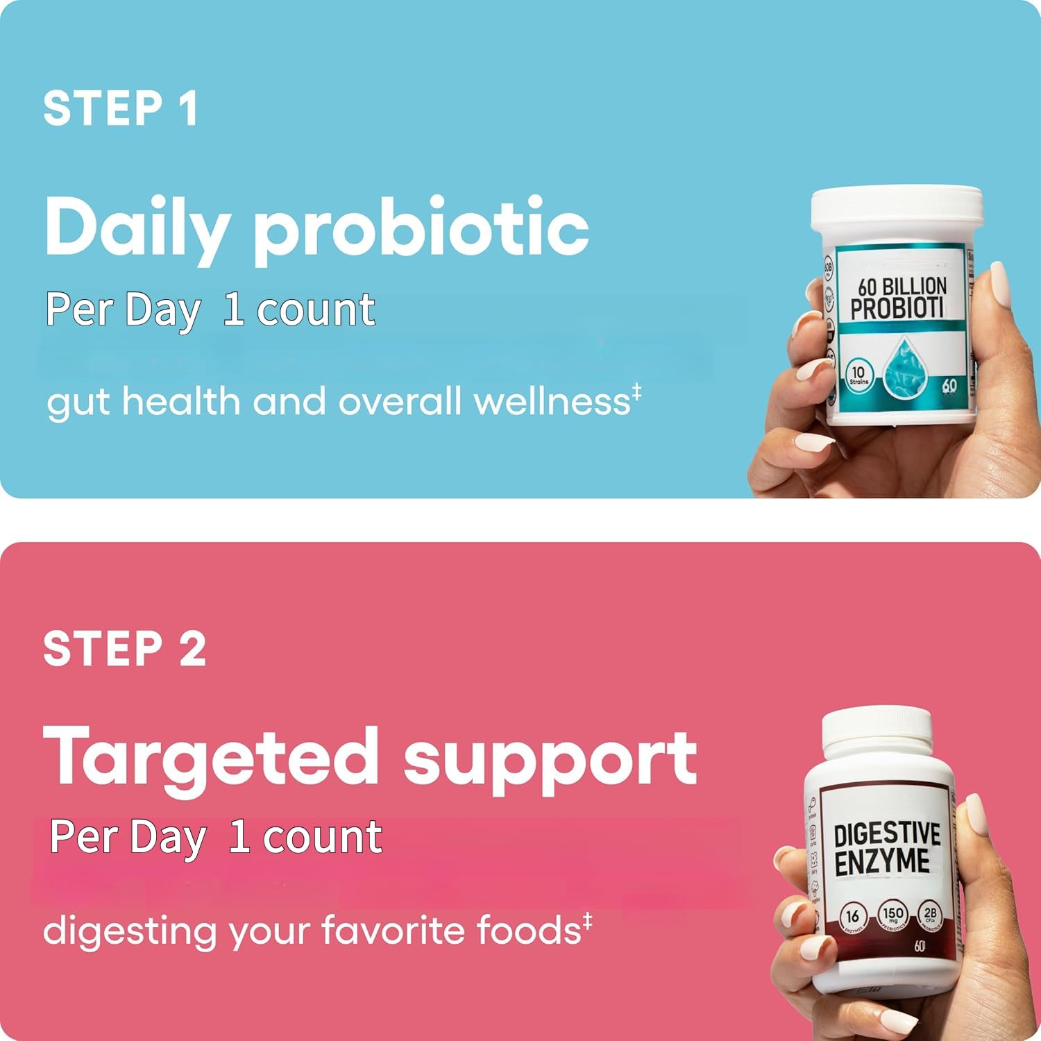Probiotique；Enzyme digestive ， Aide à la santé intestinale | favorise une digestion douce, soulage les ballonnements et les gaz et favorise l'absorption des nutriments