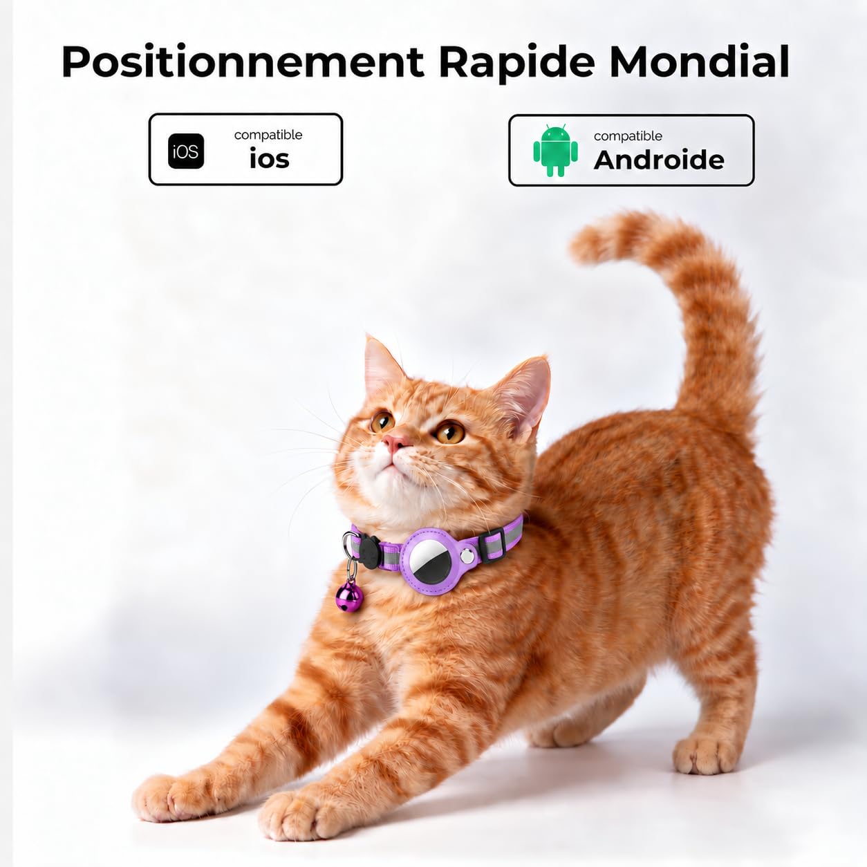 Localizzatore GPS per Gatto, GPS per Cani e Gatti Senza Abbonamento