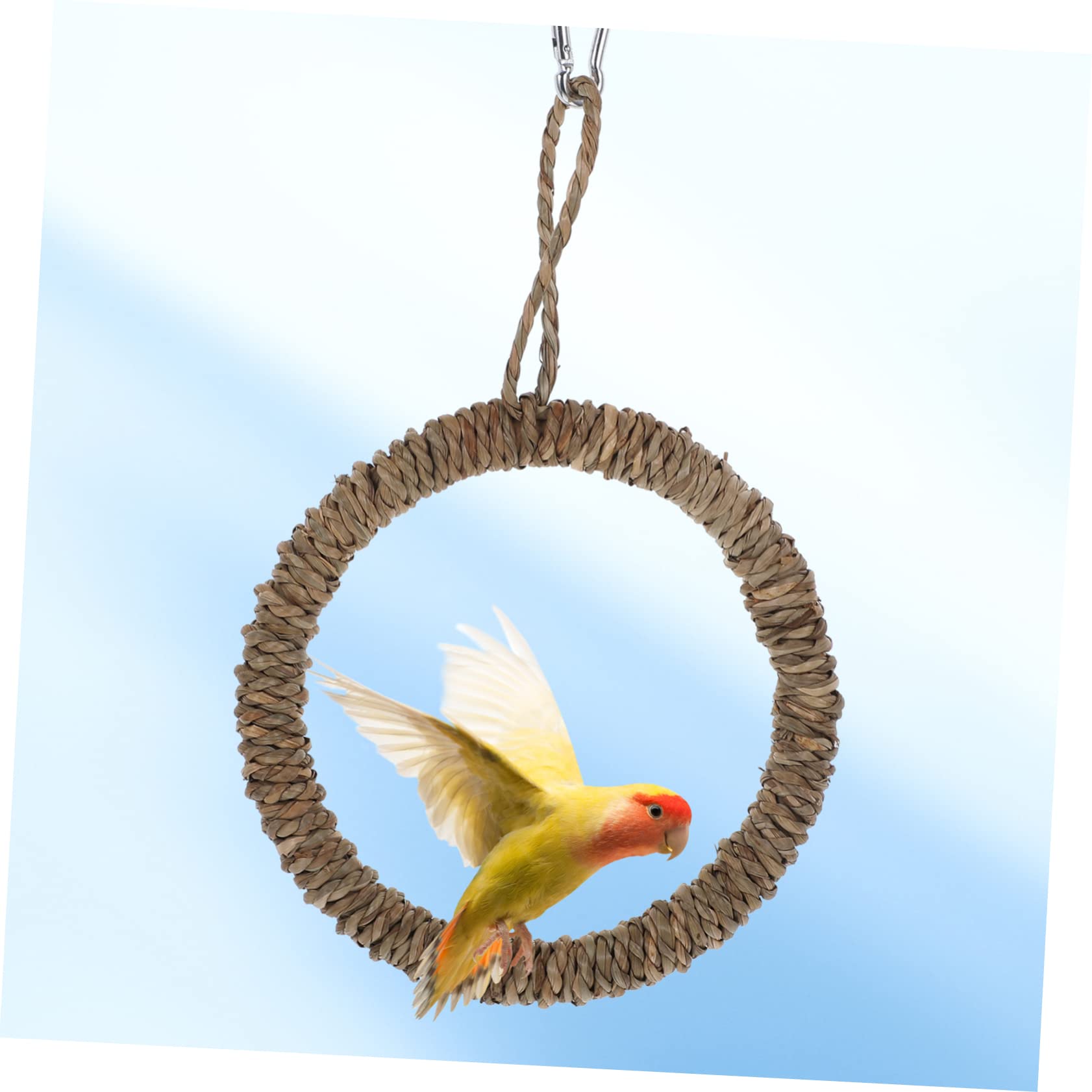Yardwe 5sätze Vogel Schaukel Spielzeug Für Papageien Hängendes Kletterspielzeug Für Sittiche Verschönerung Und Beschäftigung Im Vogelkäfig Langlebig Und