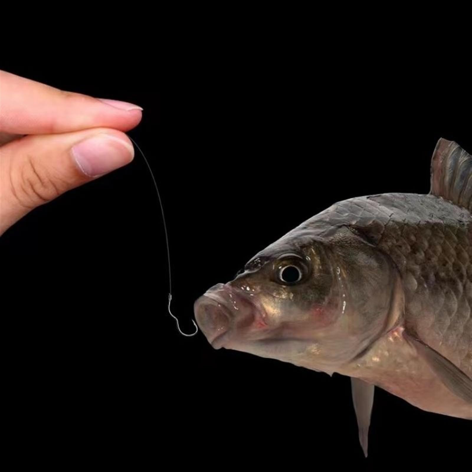 Hameçons pêche Hameçon de pêche en Acier à Haute teneur en Carbone Sharp barbelé Rabat Automatique 12 pièces/Paquet hameçon for Accessoires de pêche à la Carpe Crochet de pêche