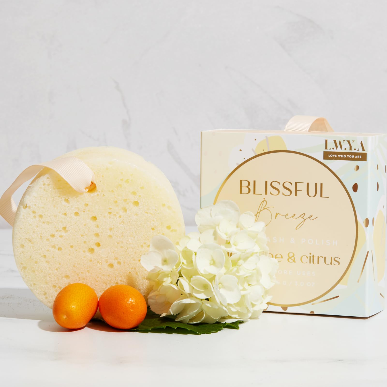 Amazon.com : LWYA Blissful Breeze Body Wash and Polish