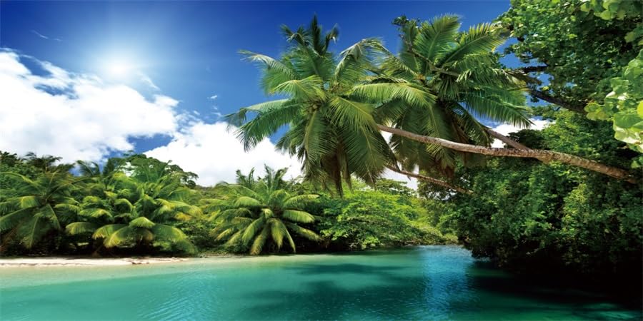YongFoto Fish Tank Background 72x24 inch Blue Sky Ocean Beach Tropical Island Coconut Palm Sea Landscape Summer Natural Scenery Polyester Backdrop