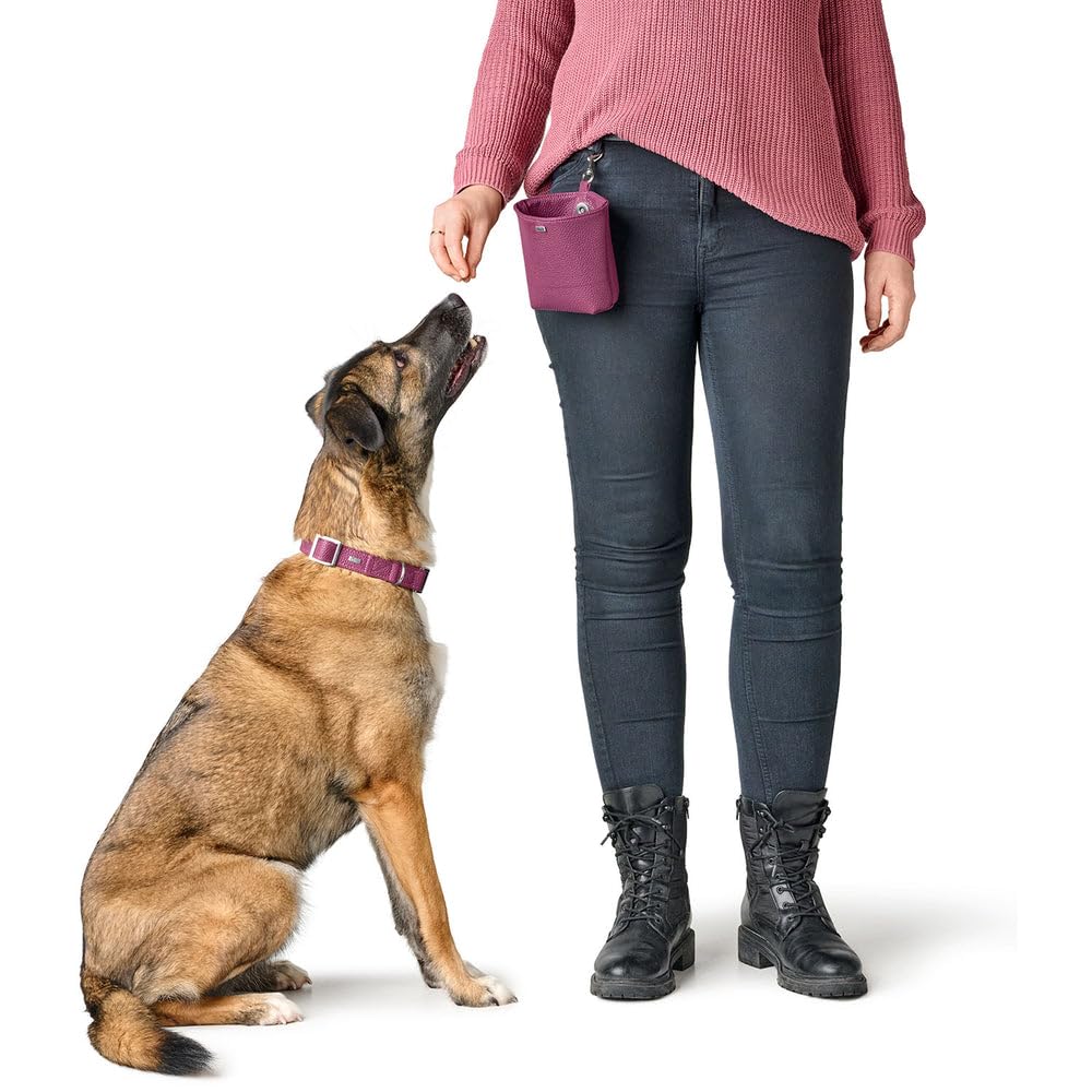 HUNTER Sofia ALU-Strong Hundehalsung | Kunstleder in Nappa-Optik, stufenlos verstellbar, Alu-Klickverschluss, Made in Germany, Farbe: Himbeer, Größe: XL