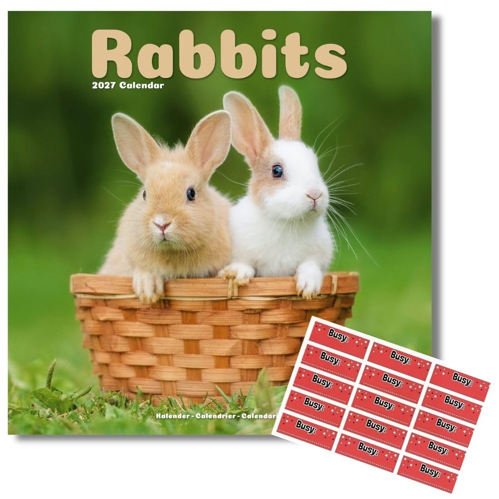 Avonside Rabbits 2027 Square Calendar with Organisational Stickers