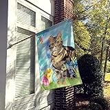 Zoom IMG-1 carolines treasures ck3133chf american shorthair Zoom IMG-1 carolines treasures ck3133chf american shorthair