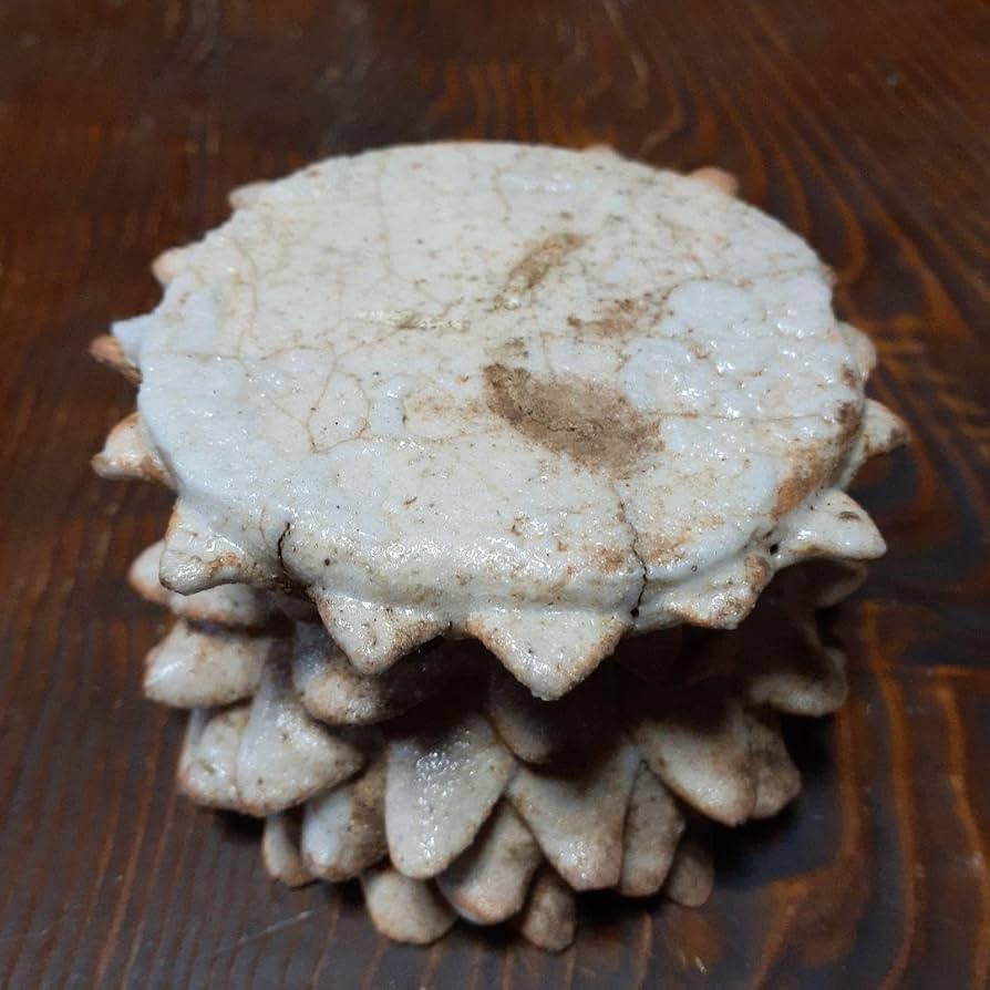 幻の志野焼蓮華台