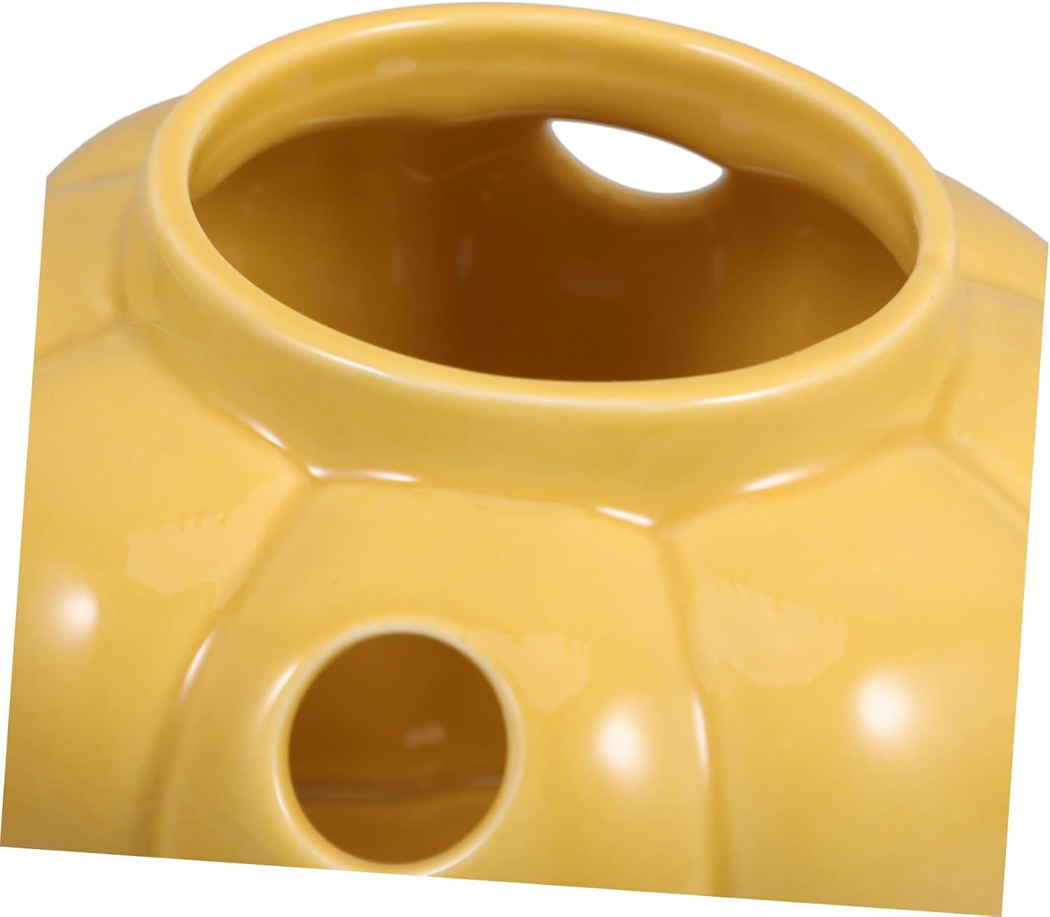 Home Kitchen Storage Canister Garlic Holder Onion Jar Countertop Decorative Tank