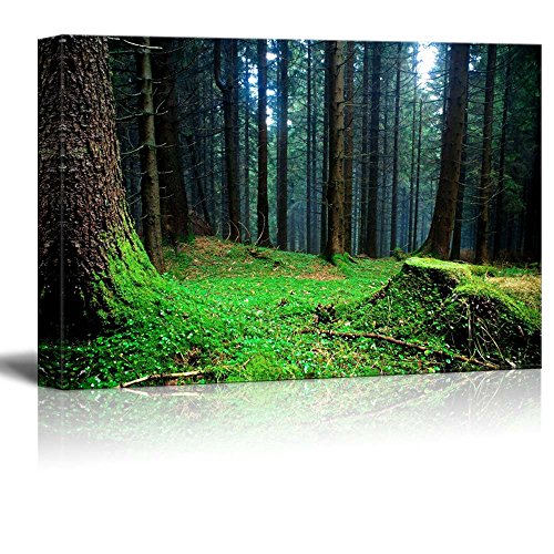 Canvas Prints Wall Art - Beautiful Scenery/Landscape Foggy Forest at The Morning at Autumn | Modern Wall Decor/Home Decoration Stretched Gallery Canvas Wrap Giclee Print & Ready to Hang - 12" x 18"