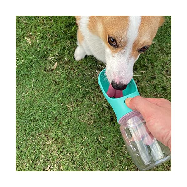 WePet-Portable-Dog-Water-Bottle-12-OZ-Leak-Proof-Puppy-Water-Dispenser-with-Drinking-Feeder-for-Pets-Outdoor-Walking-Hiking-Travel-Food-Grade-Plastic Portable Dog Water Bottle