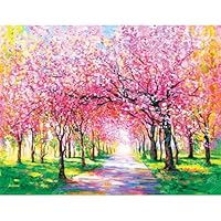 Amazon.co.jp: DIAMOND ART CLUB 星月夜 - ナイトミュージック