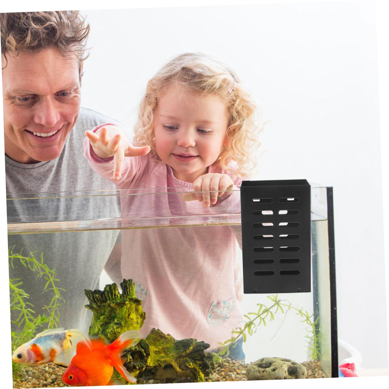 Toddmomy 2stücke Aquarienpflanzenhalter aus Edelstahl Hängepflanzenhalter für Wasserpflanzen Aquarienzubehör Pflanztopf für Aquarienpflanzen Wasserpflanzenpflanzgefäß