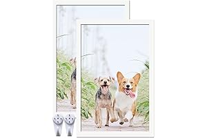 White 11x17 Picture Frame Set of 2