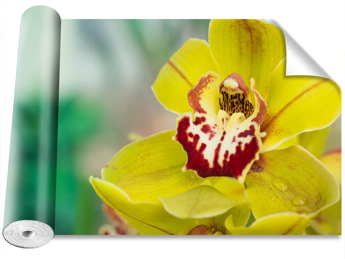 Papier peint orchidée jaune 152x104cm Tulup camouflage déco
