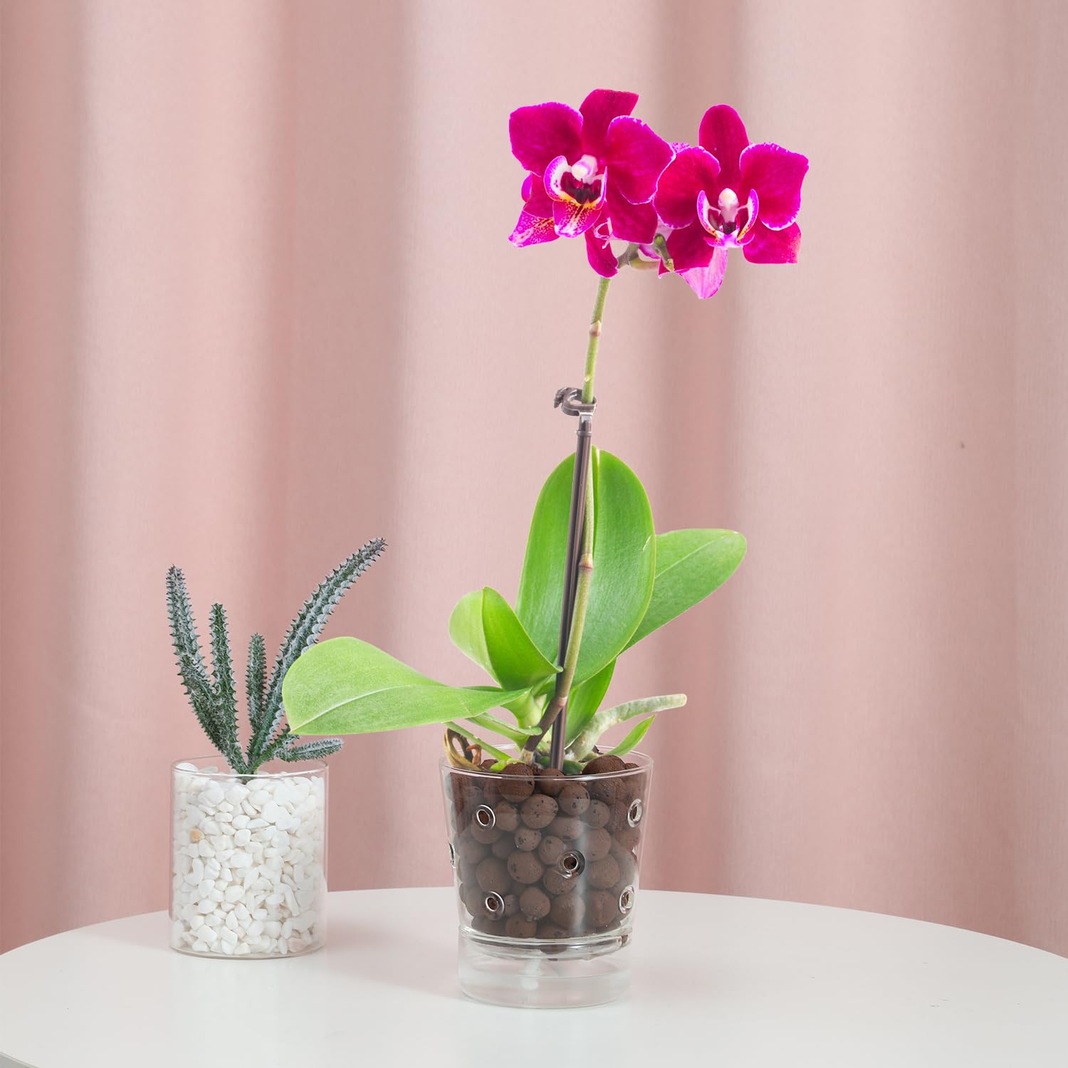 Keramik-Orchideentopf 13,3 Cm Mit Löchern & Untersetzer – Für Beste Belüftung Und Drainage