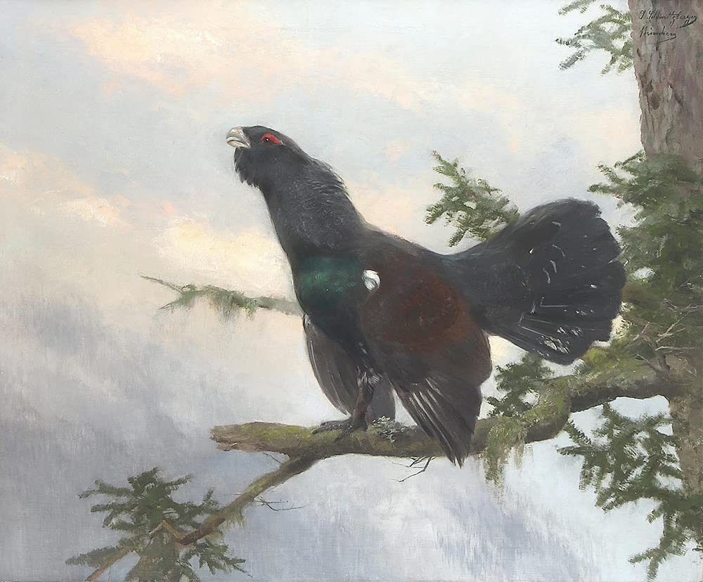 ArtDirect Auerhahn 44x36 UnFramed Museum Art Print Poster Ready for Framing by Josef Schmitzberger (German, 1851–after 1930)