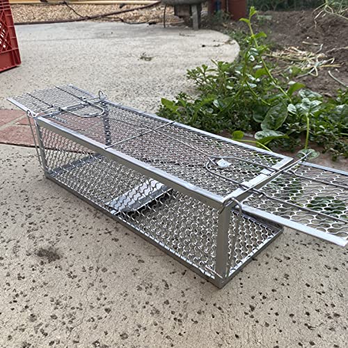 Double Door Live Humane Cage Mouse Trap Rat Catch Control Bait Hunting Survival For Mice Hamsters Chipmunks Rodents Gopher Control （15.7"X4.3"X7.5"） #TOP2