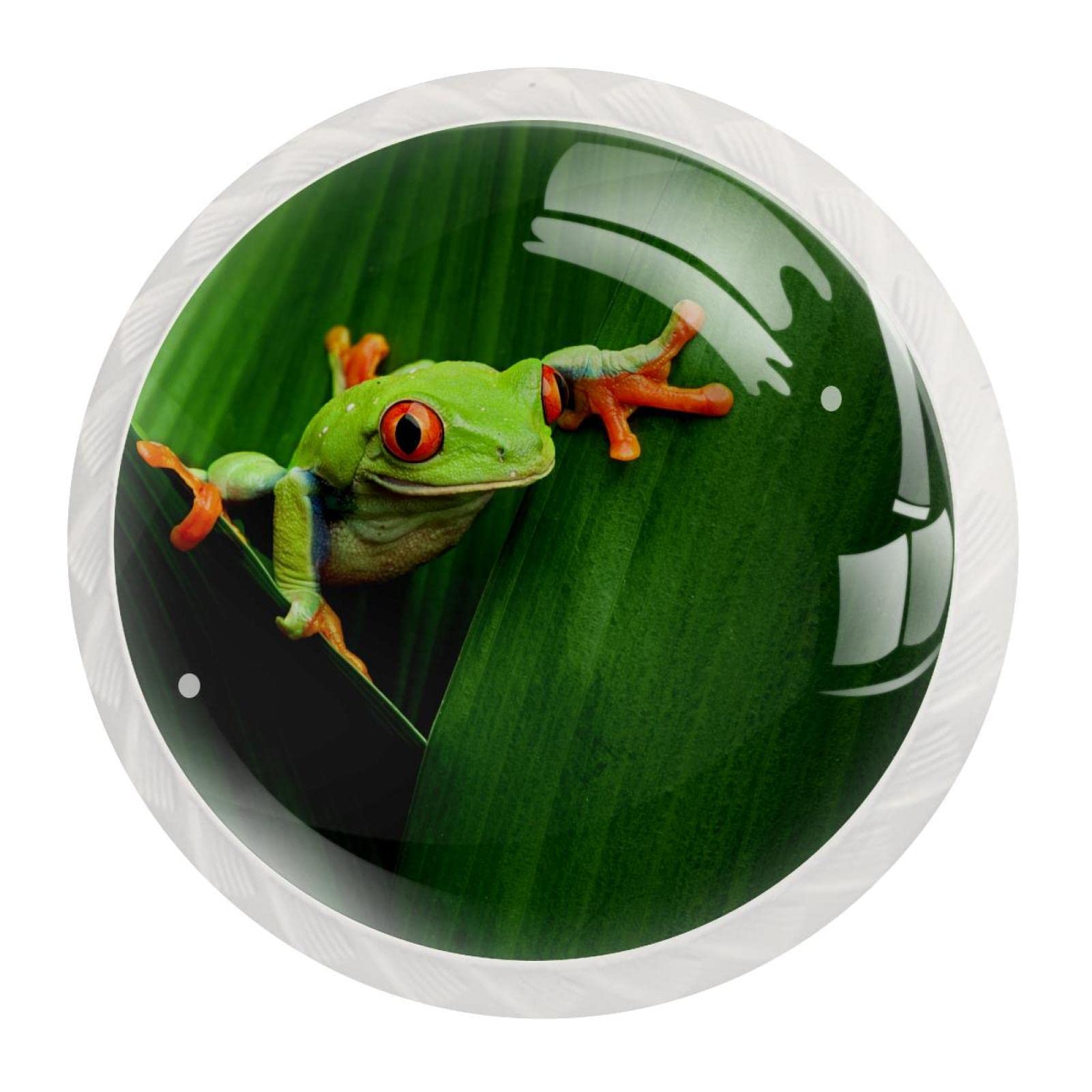 Boutons pour armoires et tiroirs TBOUOBT lot de 12 design grenouille tropicale