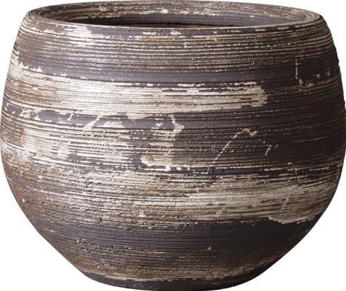 トゥラミーン ラズベリー 大苗 No.1 9e1bd912e9ba20a26178fd3417aae6