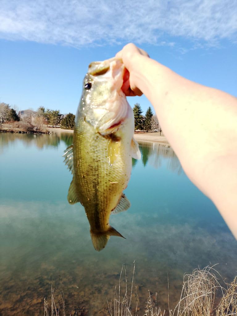 Very good for covering shallow water