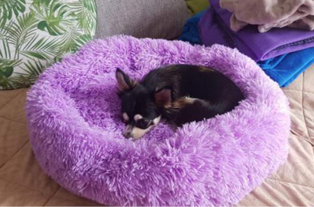 S-Lifeeling Toast-Design Haustierkissen - Abnehmbar, Weiches Plüsch-Nest Für Hunde & Katzen, 38 Cm, Winterlich Warm