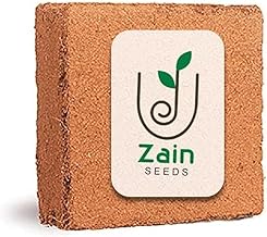 قالب كوكوبيت كبير من زين