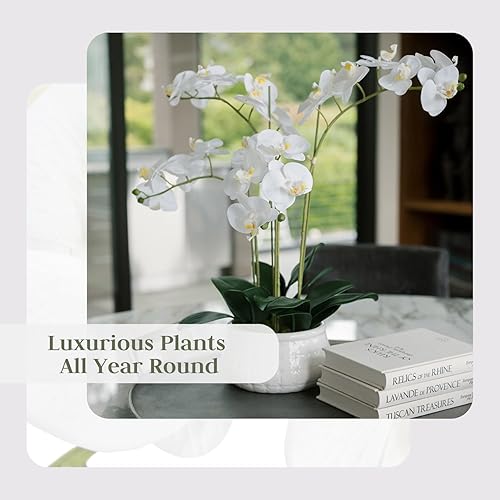 Miniatura 12 de CG Hunter Planta de orquídea sintética con suculentas, soporte de exhibición de flores artificiales de alta calidad para interiores de 23 pulgadas