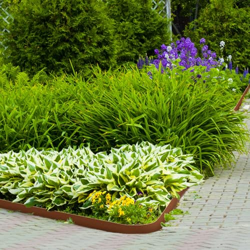 Worth K654J Garden 6-Pack 6 Inch H. Corten Steel Landscape Lawn Edging thumb #6