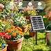 Imagen de Lomffy Kit Sistema de Riego Solar para Jardín