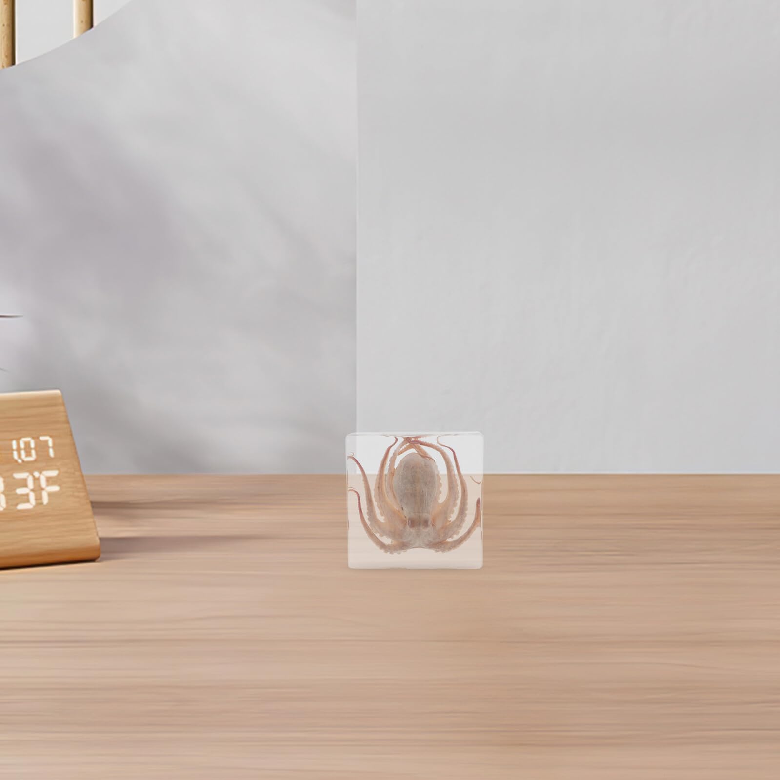 Specimen Design Creativo di Polpo in Resina per Educazione Scientifica e Aspetto Realistico 3" X 3" Decorazione da Scrivania per Ufficio e Collezione