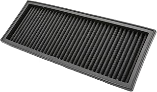 Ramair Filters PPF-1905 - Filtro de aire para panel de repuesto, color negro, talla única