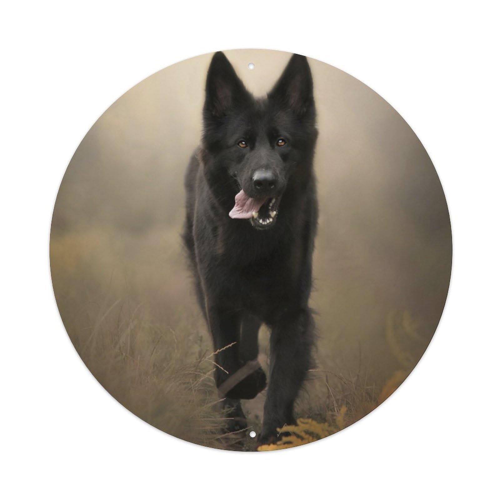 Loyalist Pet Dog Poster Warm German Shepherd Metal Tin Sign