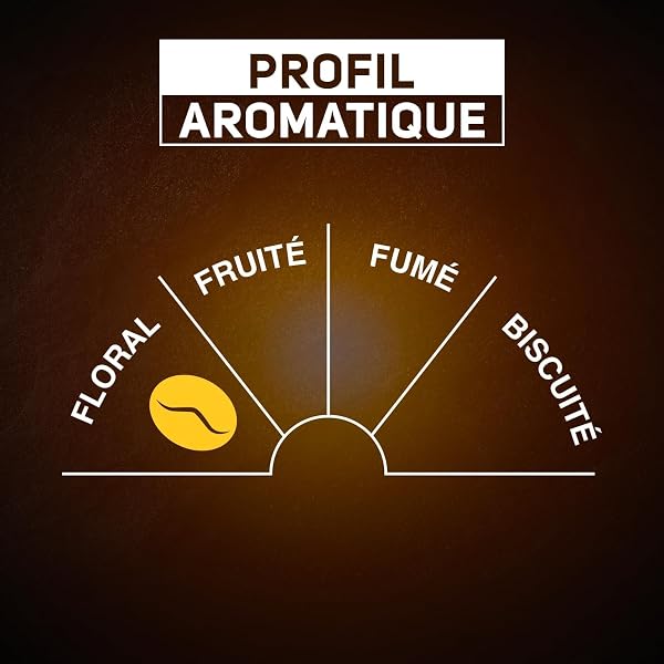 Carte Noire CARTE NOIRE – Café en Dosettes Souples Classique N°5 – Pur Arabica - 3 Paquets de 60 Dosettes – Compatibles Senseo (180 dosettes) in use