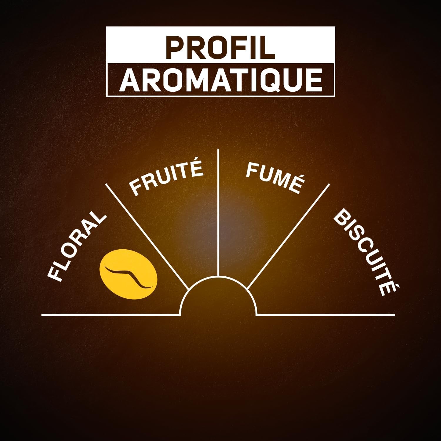 CARTE NOIRE – Café en Dosettes Souples Classique N°5 – Pur Arabica - 3 Paquets de 60 Dosettes – Compatibles Senseo (180 dosettes)