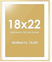 Vista 710 de Fun Memories Portarretratos de metal de 16 x 20 pulgadas con paspartú de 11 x 14 pulgadas, acabado de aluminio cepillado, parte delantera de vidrio