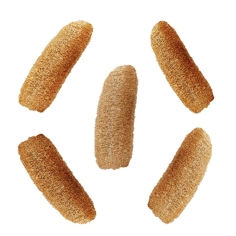 Natural Loofah Sponge Body Scrubber 5 Piece - Ridge Gourd Bath scrub is Body Cleansing Removing Dead Skin Cells and Revitalizing Softer New Skin - Peerkangai Brush (Pack of 5)-image-15