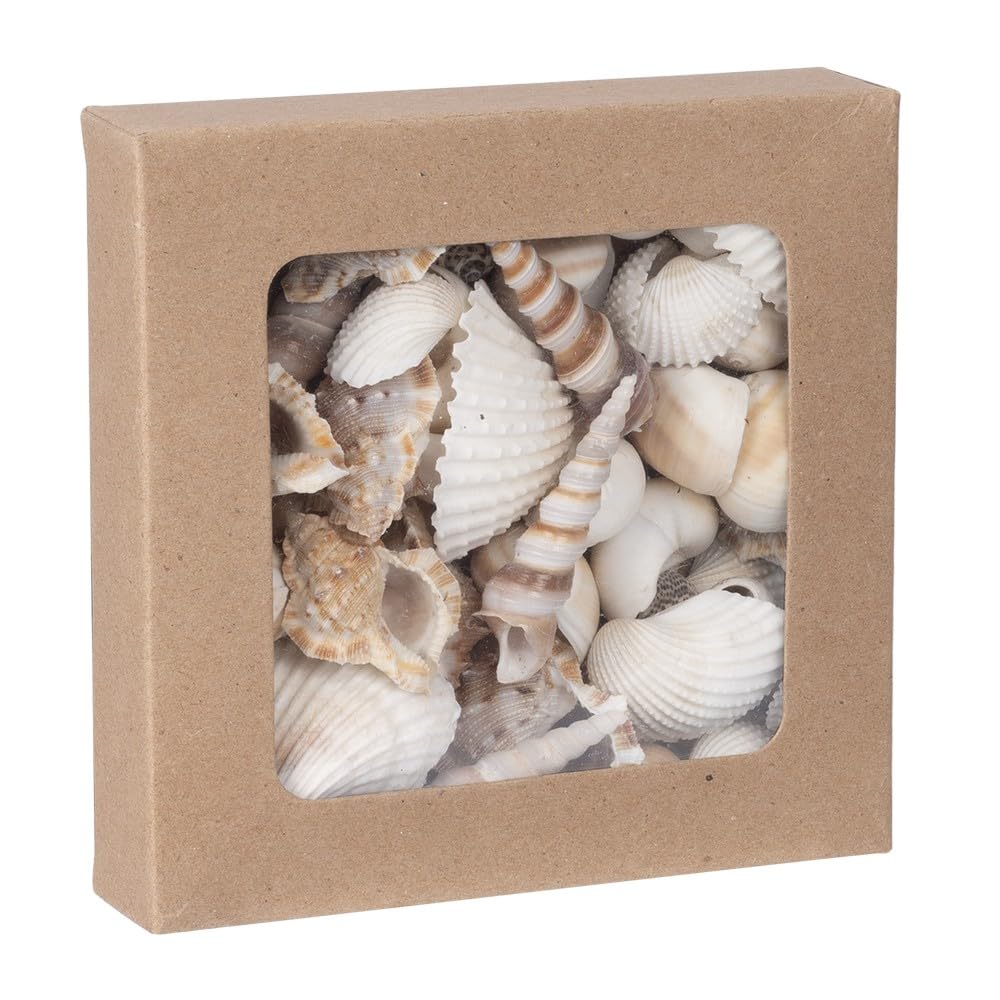 ideen mit herz Potpourri | Conchiglie | 450 g | Naturale | Vari tipi di conchiglie