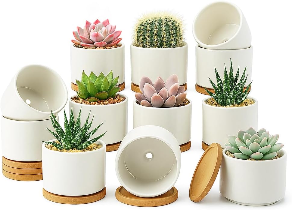 ZOUTOG 12 Pack Ceramic Succulent Pots,3.6 Inch Plant Pots,Succulent Planters with Drainage Hole & Bamboo Tray for Indoor Plants,White Small Flower Planters for Home,Office,Desk