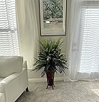 Review Image by Zenyatta Zenyatta