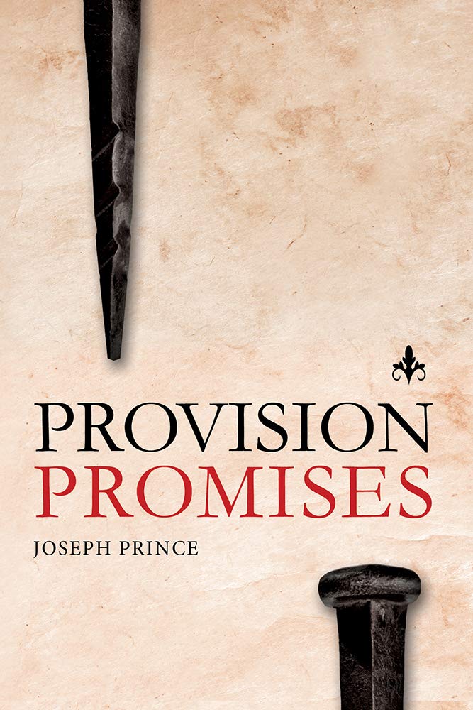 Provision Promises,Joseph Prince- 9781636410340