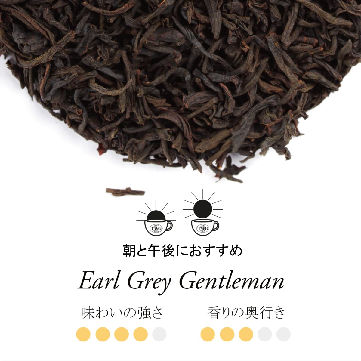 Amazon.co.jp: 【TWG Tea】Earl Grey Gentleman｜缶入り茶葉100g