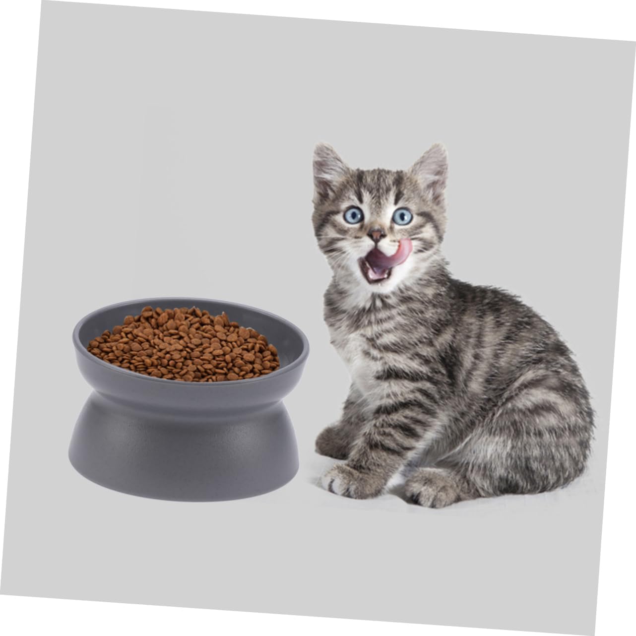 Yardwe 3pcs Oblique Mouth Cat Bowl Deep Gray Non- Feeding Dish for Cats Dual-Sided Design Holds Water Food Material for Controlled Eating