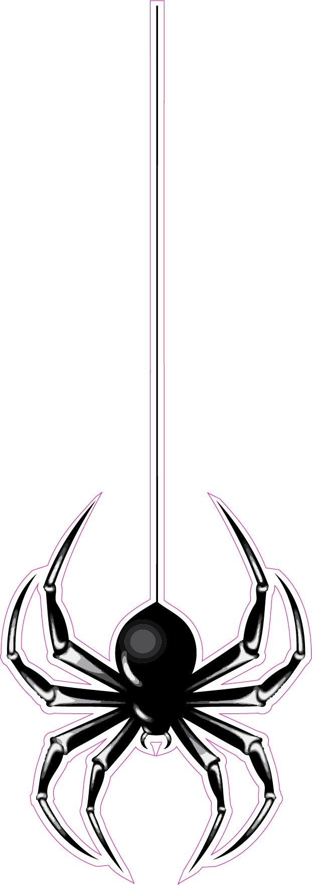 Black Widow Spider Large 12" x 5"