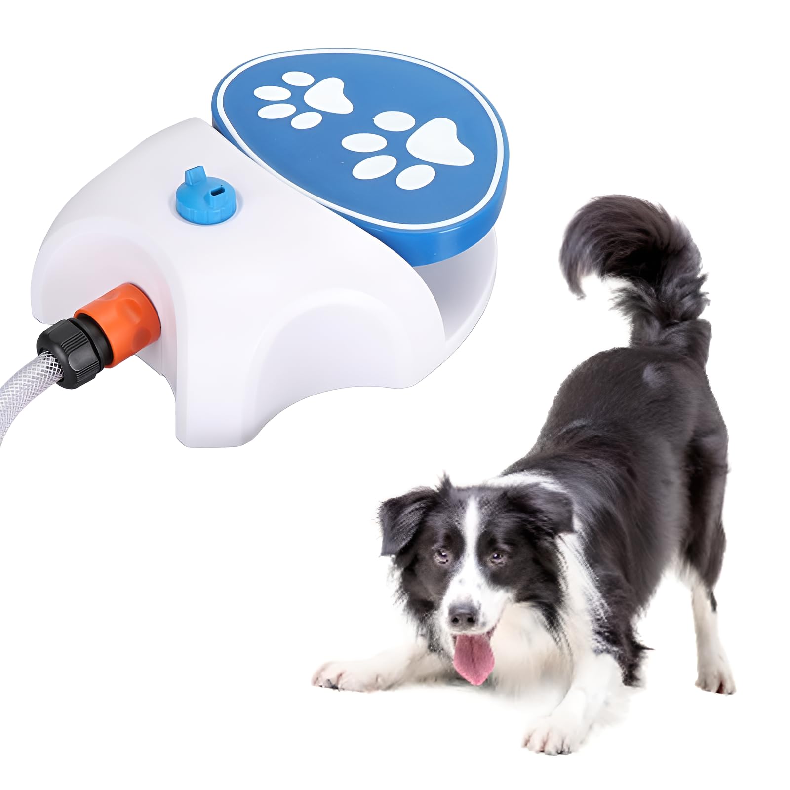Fuente de agua para mascotas, dispensador de agua activado con